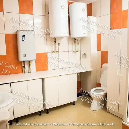 Calin Apartment Costinesti