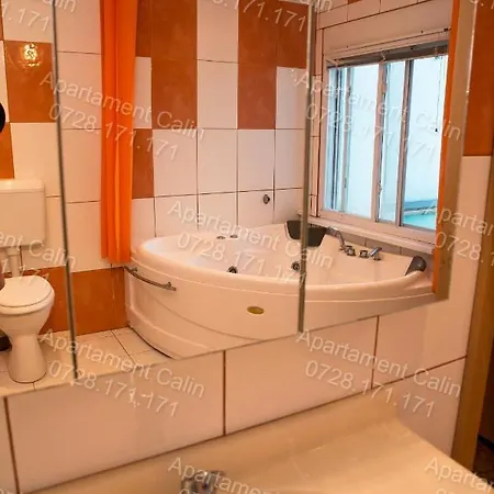Calin Apartment Costinesti