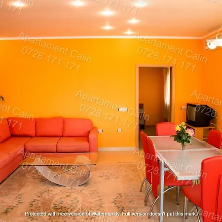 Apartment Calin